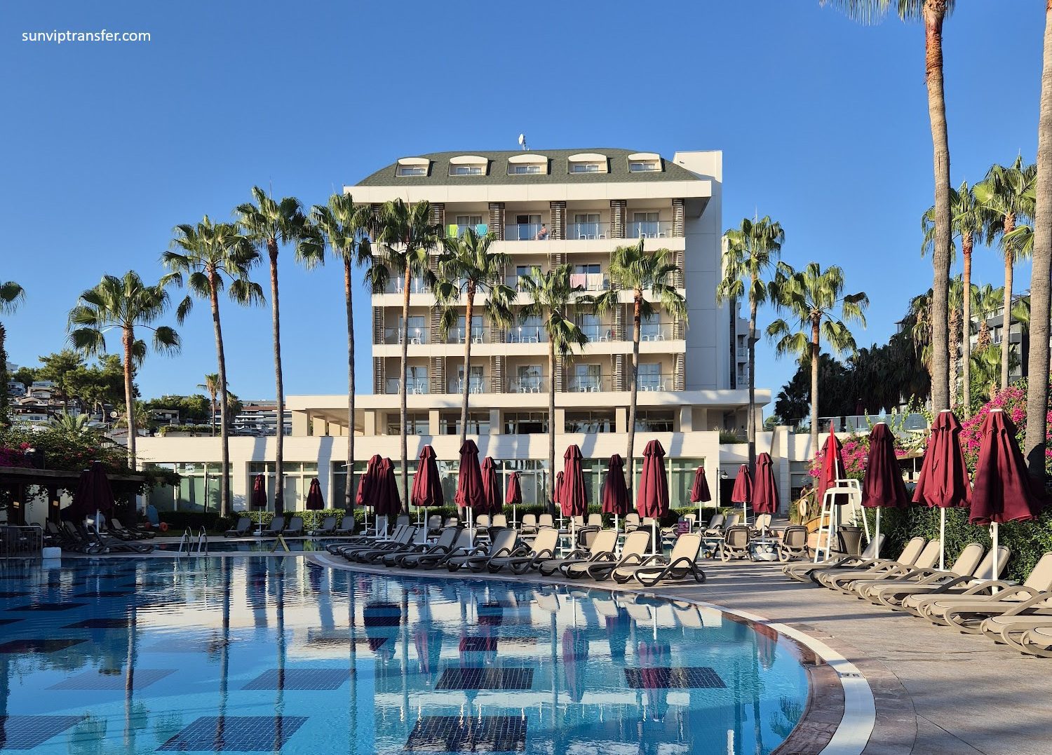 Trendy Palm Beach Transfer