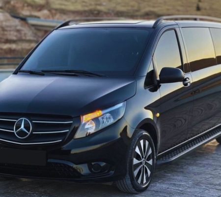 Mercedes Vito Simple Vehicle (3)