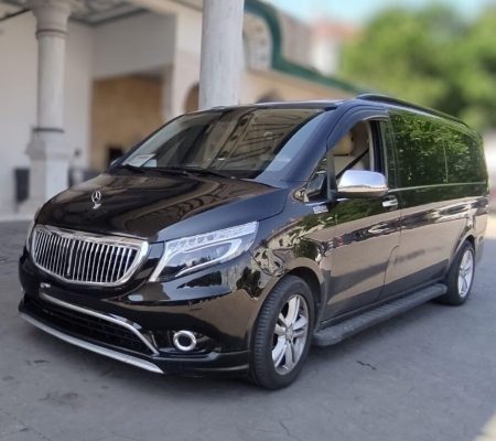 Mercedes vito vip design